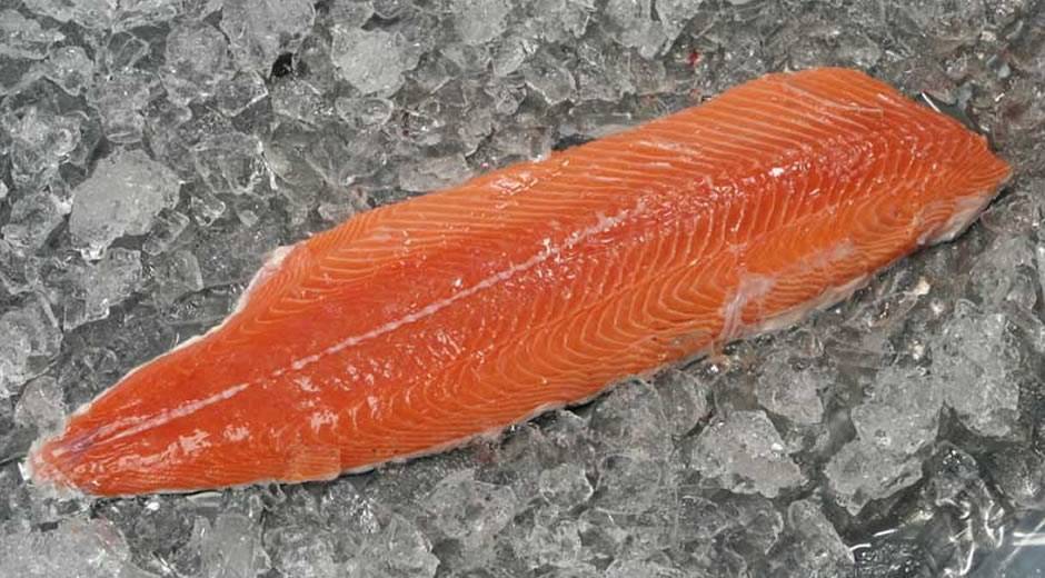 toptan donmuş deniz ürünleri